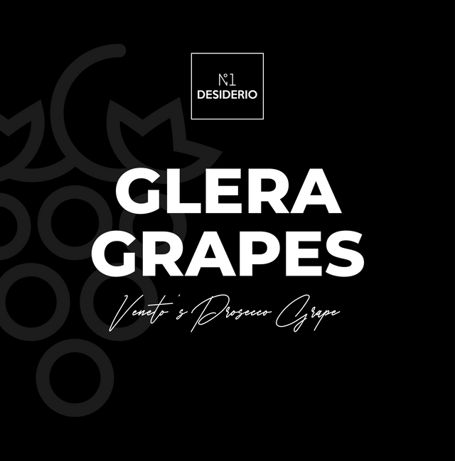 Top Interesting & Fun Facts about Glera/Prosecco