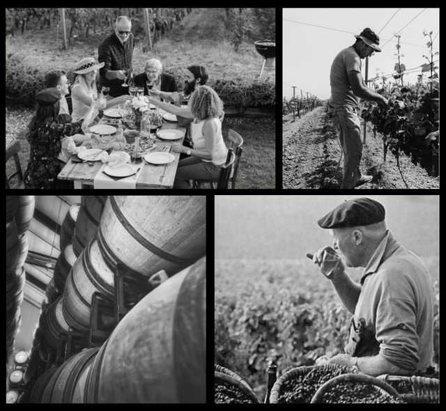 Art of wine making